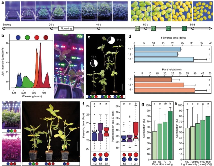 स्पीड ब्रीडिंग है क्या