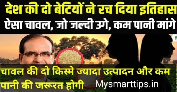 यह एक आधुनिक वैज्ञानिक प्रक्रिया होती है जिसमें पौधों के डीएनए में बदलाव करके उनमें वांछित गुण विकसित किए जाते हैं जुनून संपादन की तीन विधियां होती है SdN -1 SdN -2 SdN-3