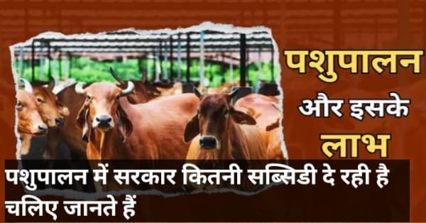 राष्ट्रीय गोकुल मिशन
